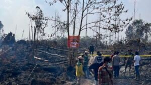 Satgas Karhutla dan PT.ABT meninjau Karhutla di area PT ABT, Desa Pemayungan, Kecamatan Sumay, Kabupaten Tebo, Provinsi Jambi, Sabtu (22/8/2026).
